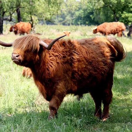 Hotel Rozenburg Rozenburg