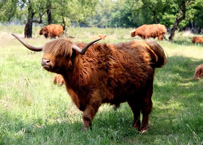 Hotel Rozenburg Rozenburg